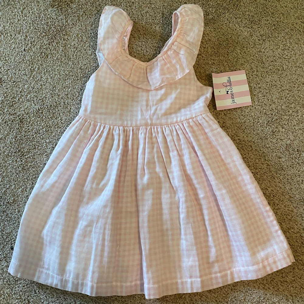 NWT:  James & Lottie dress